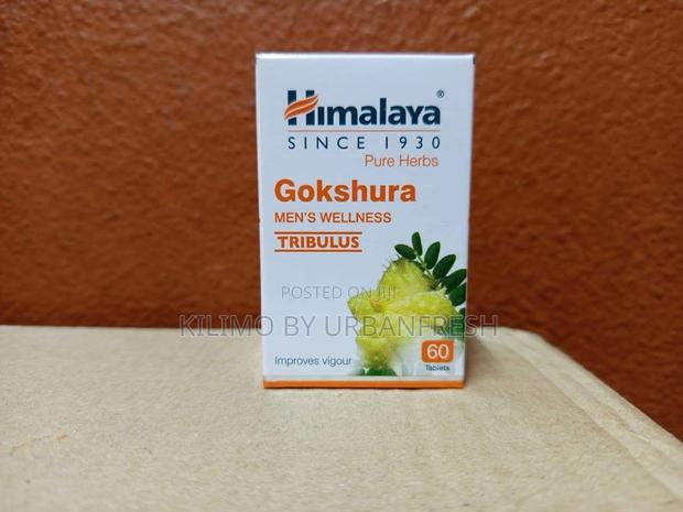 Gokshura 60 Tablet Men Vitality Support.