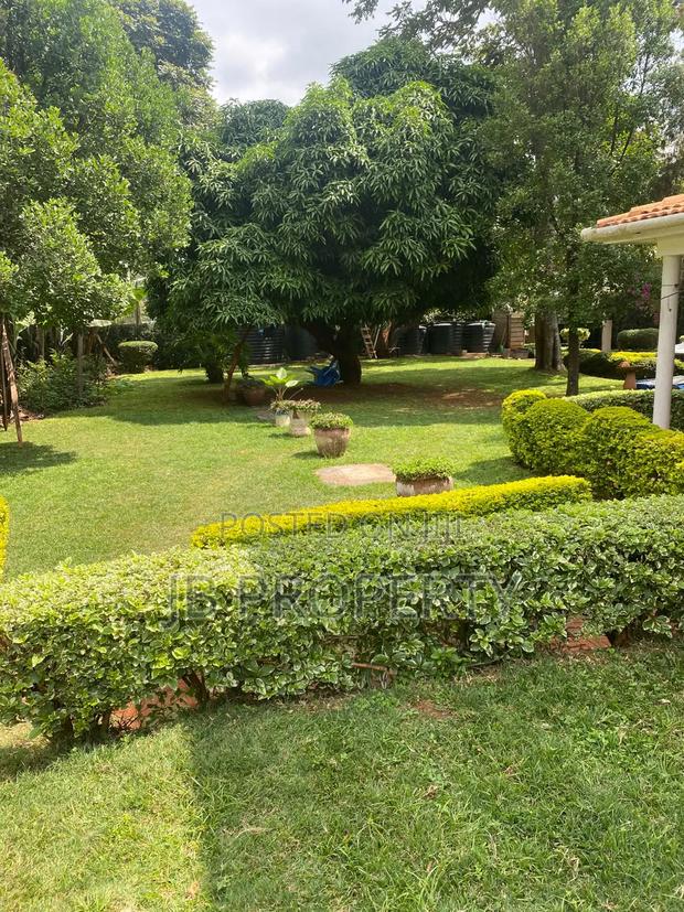 2bdrm House in Executive 2Bdrm for rent - thumbnail 6