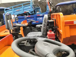 Cargo Trycycle