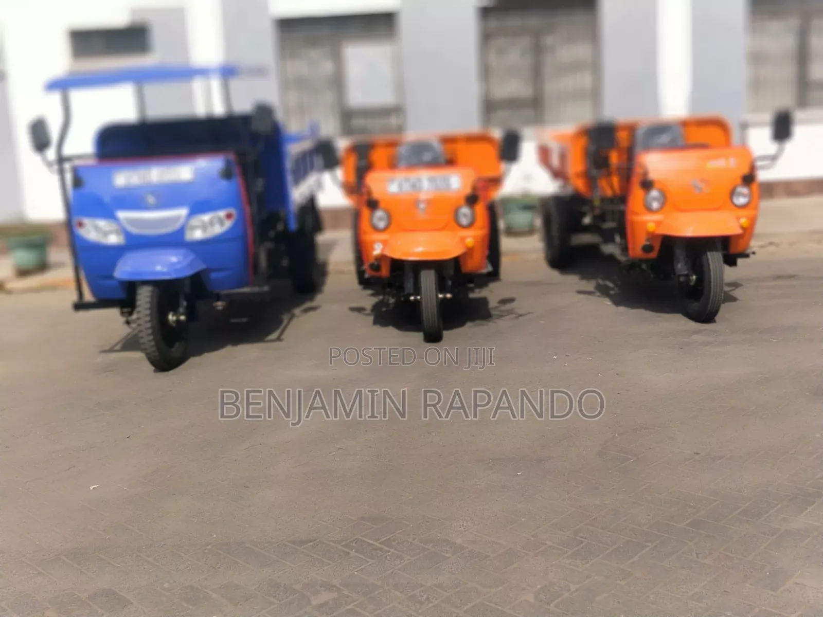 Cargo Trycycle