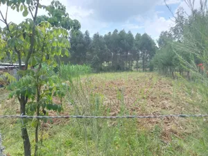 1/2 Acre Prime Land