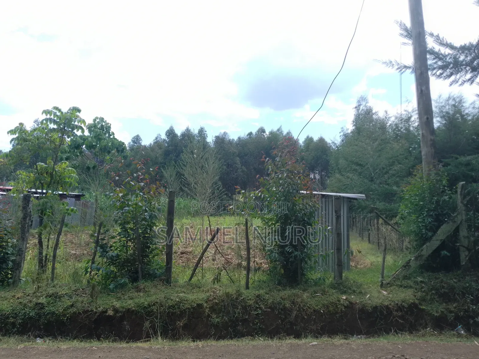 1/2 Acre Prime Land