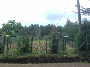 1/2 Acre Prime Land