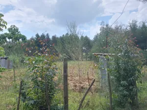 1/2 Acre Prime Land