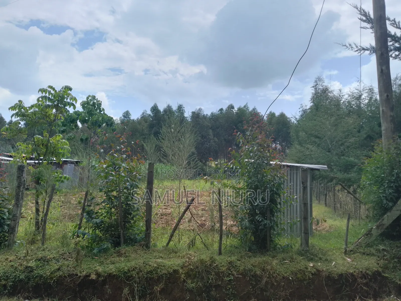 1/2 Acre Prime Land