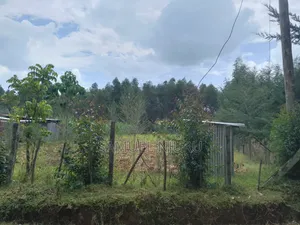 1/2 Acre Prime Land