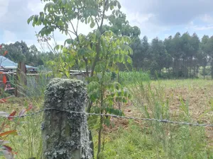 1/2 Acre Prime Land