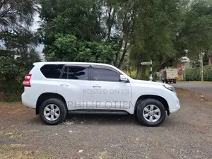Prado TX Car Hire