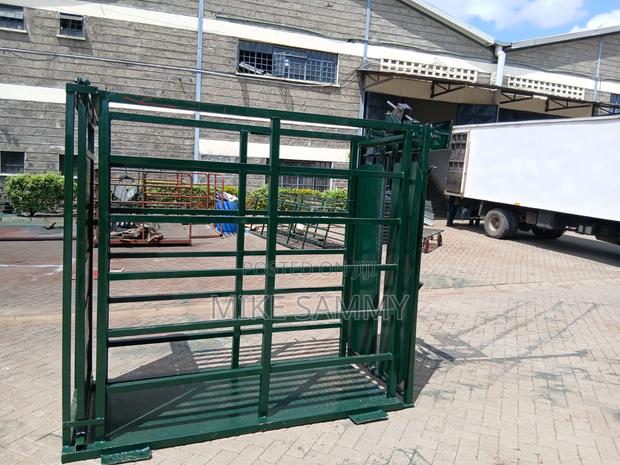 Animal (Cattle) Weighing Scale