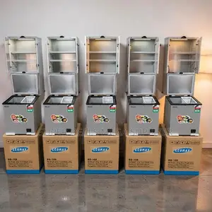 User-Friendly Practical 60L,90L,119L,150L,200L Chest Deep Freezers