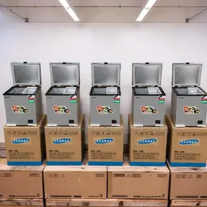 Professional Grade 60L,90L,119L,150L,200L Chest Deep Freezers