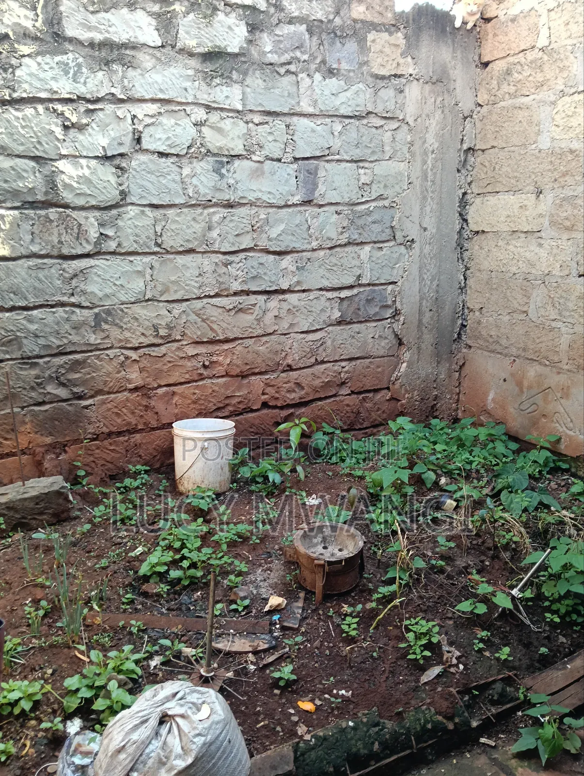 Plot Kariobangi