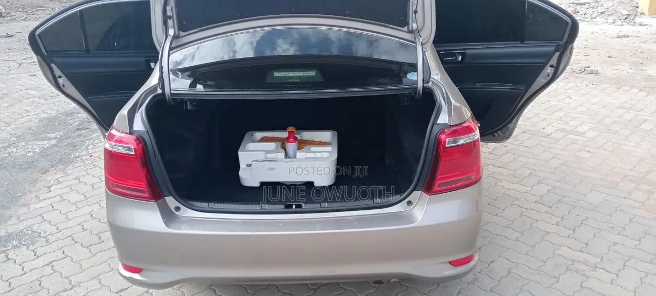 Toyota Axio 2018 Brown