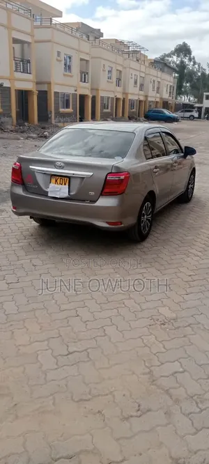 Toyota Axio 2018 Brown