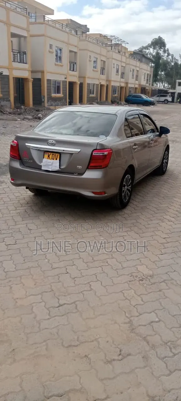 Toyota Axio 2018 Brown