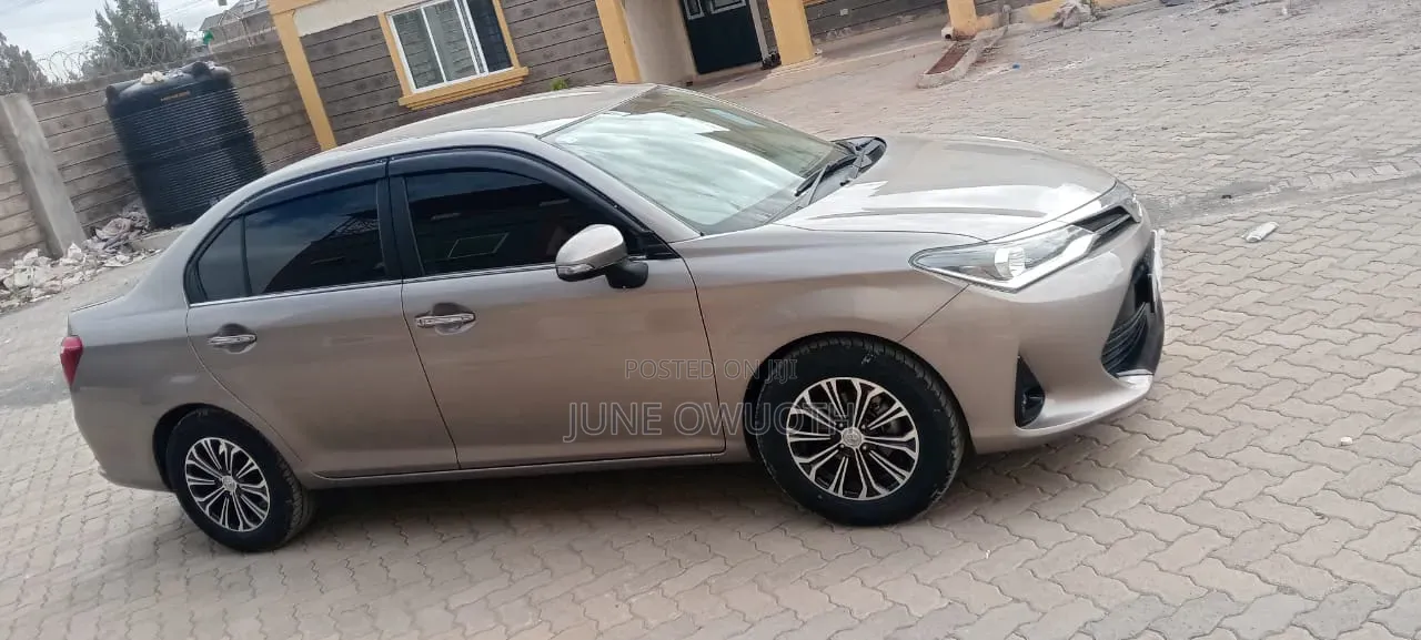 Toyota Axio 2018 Brown