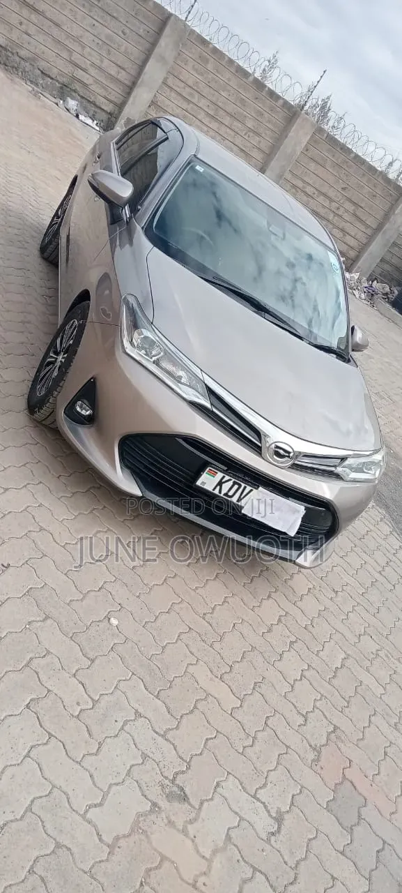 Toyota Axio 2018 Brown