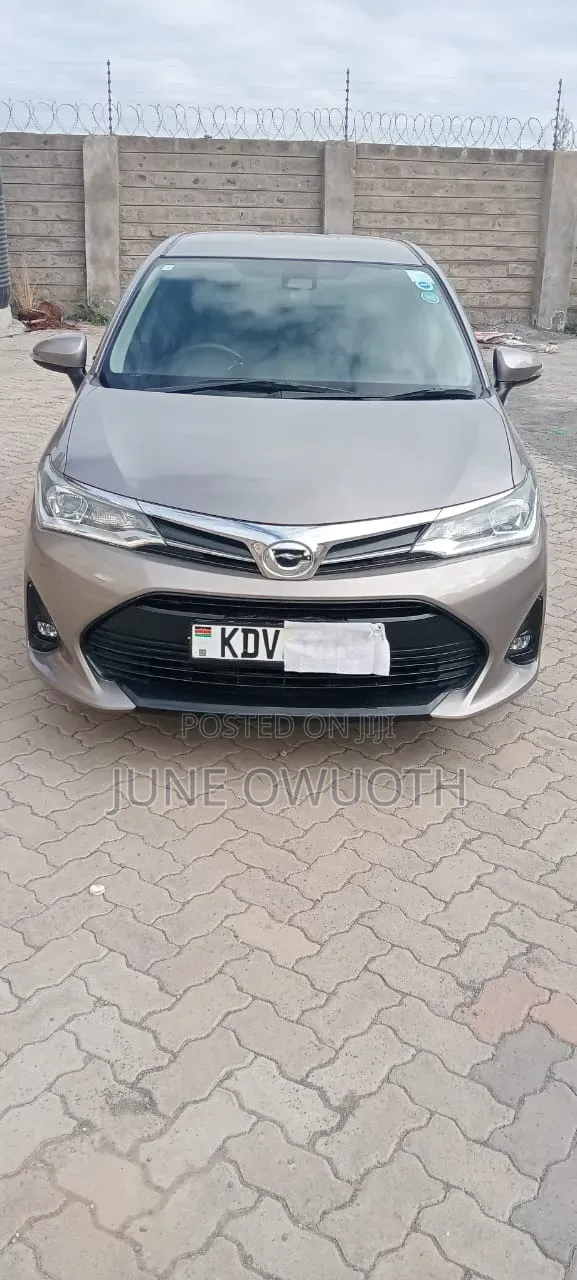 Toyota Axio 2018 Brown