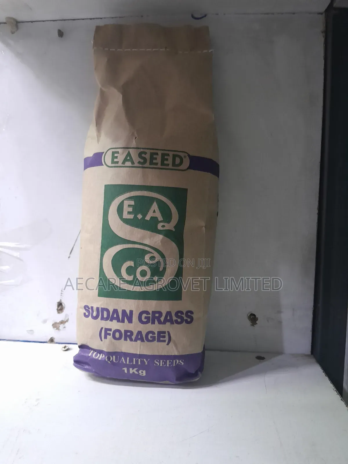 Sudan Grass Seeds Forage 1kg