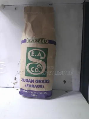Sudan Grass Seeds Forage 1kg