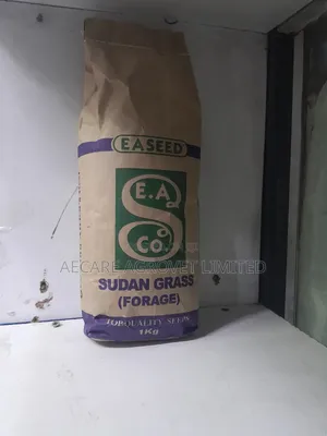 Sudan Grass Seeds Forage 1kg