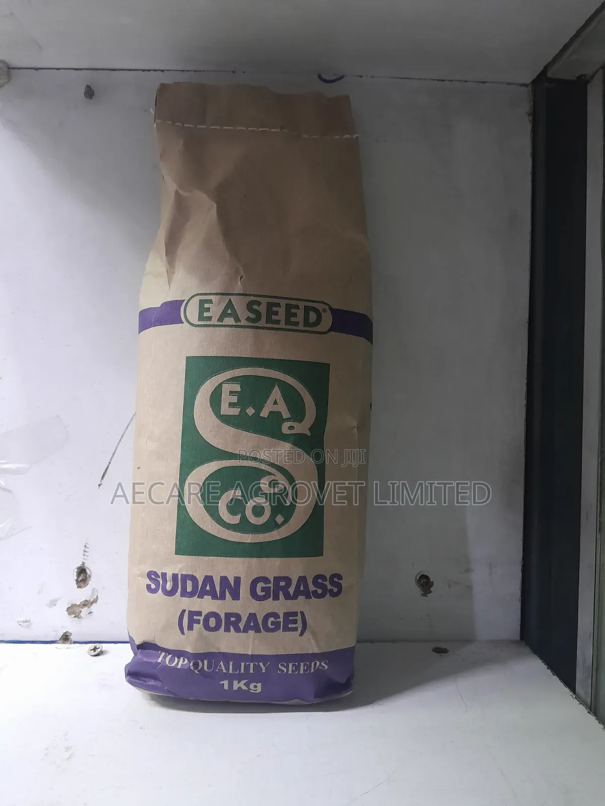 Sudan Grass Seeds Forage 1kg