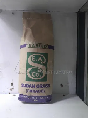 Sudan Grass Seeds Forage 1kg