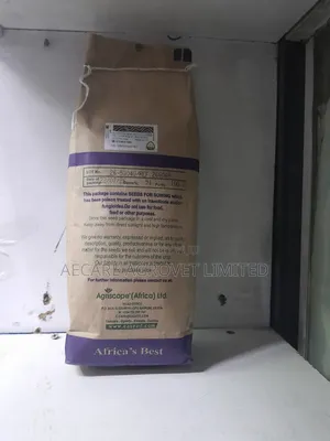 Sudan Grass Seeds Forage 1kg