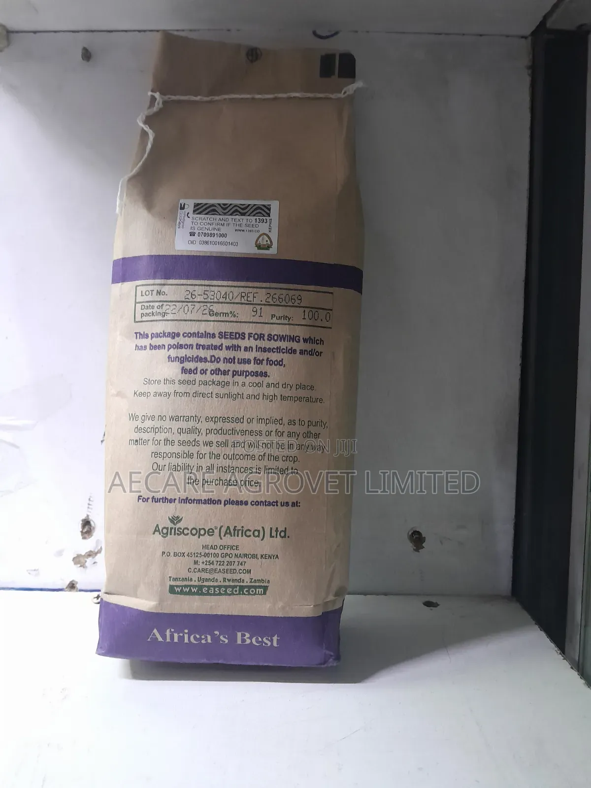 Sudan Grass Seeds Forage 1kg