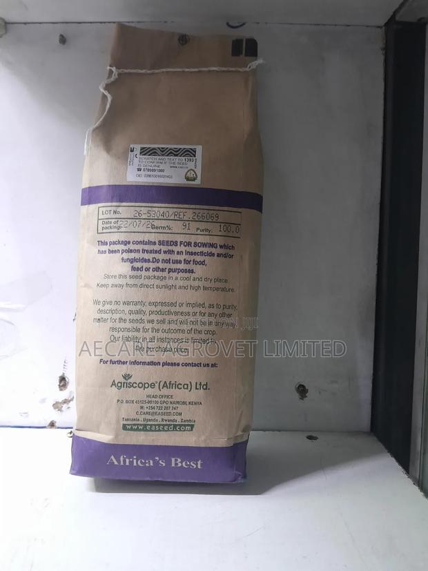Sudan Grass Seeds Forage 1kg - thumbnail 6