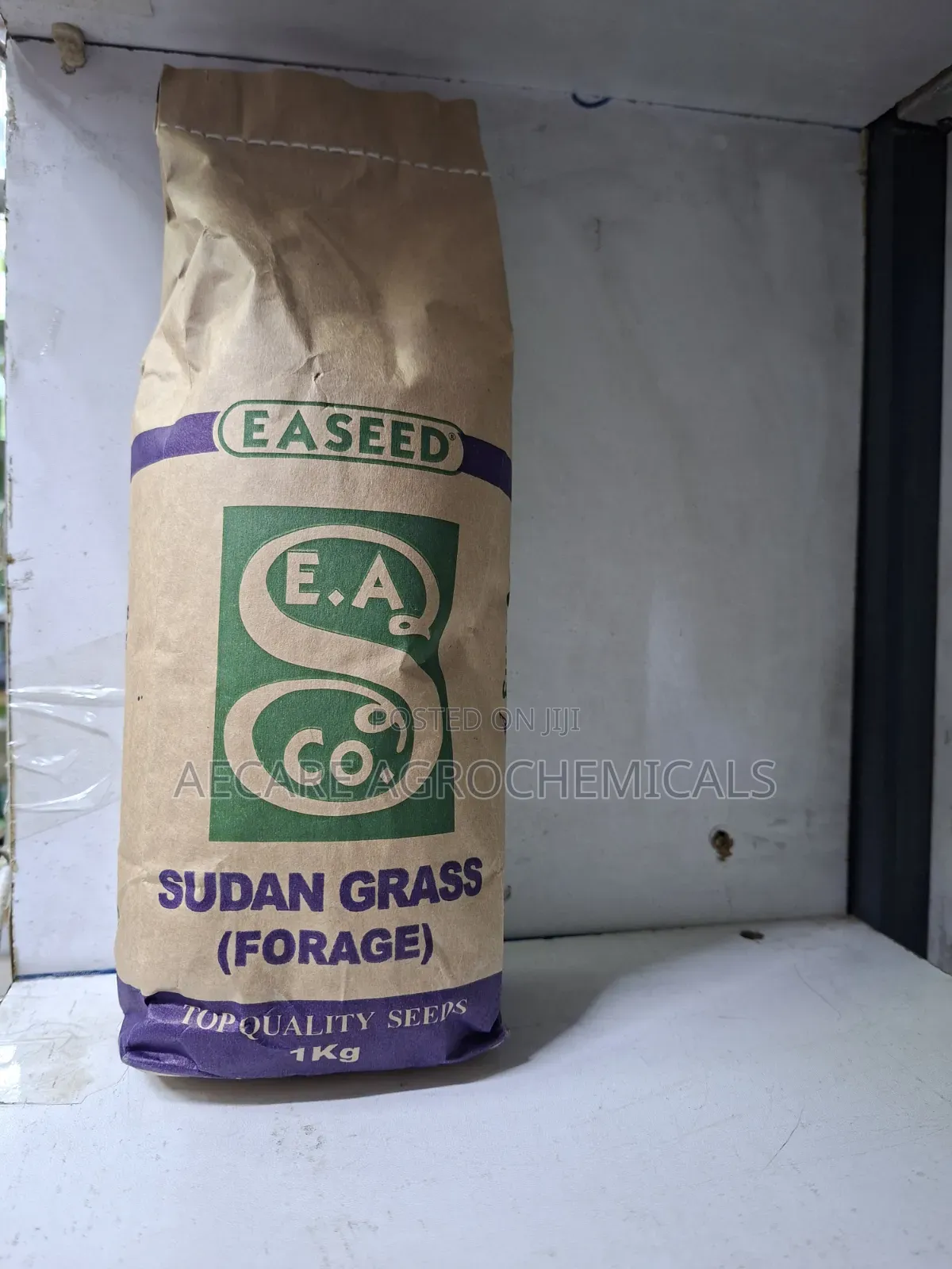 Sudan Grass Seeds Forage 1kg