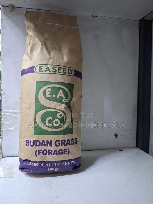 Sudan Grass Seeds Forage 1kg