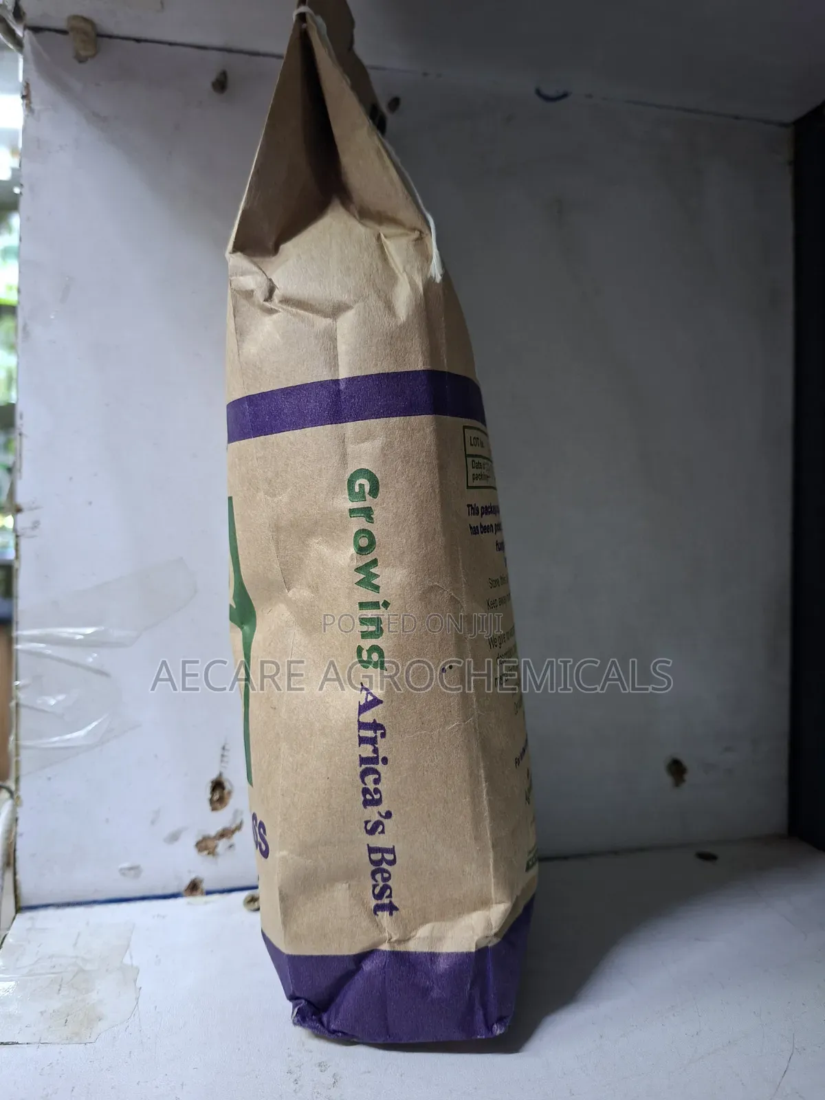 Sudan Grass Seeds Forage 1kg