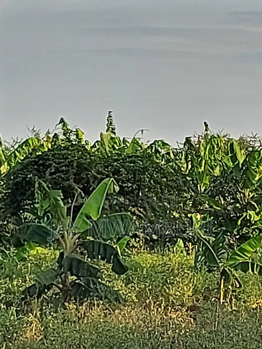 110 Acres Ready Farm Emali