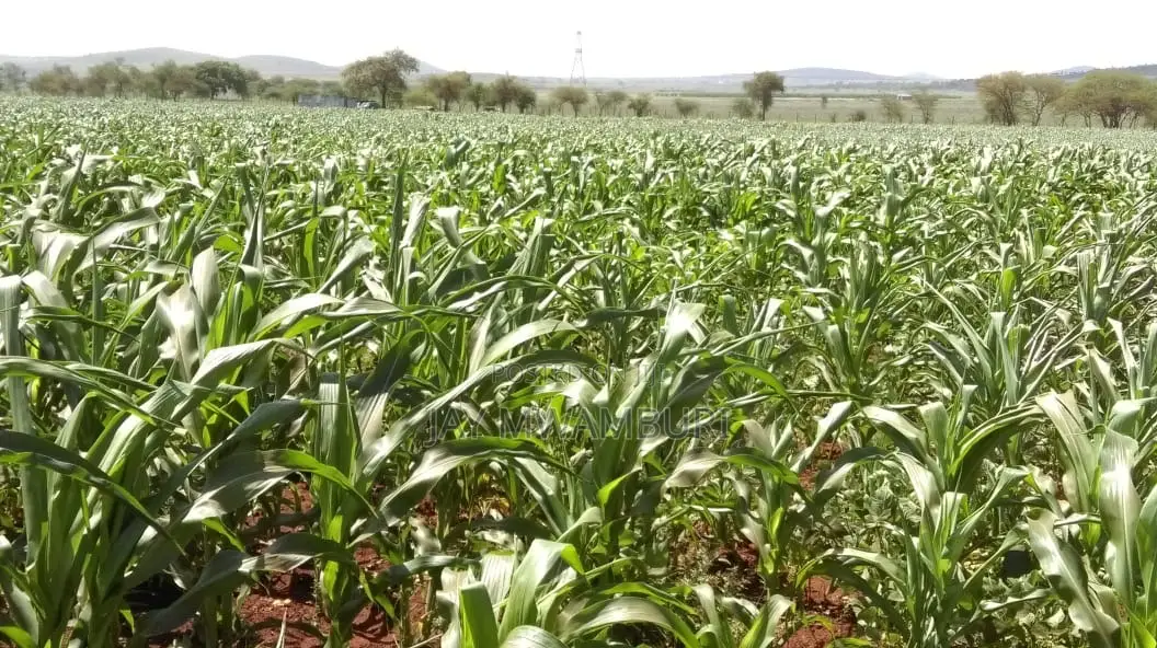 110 Acres Ready Farm Emali