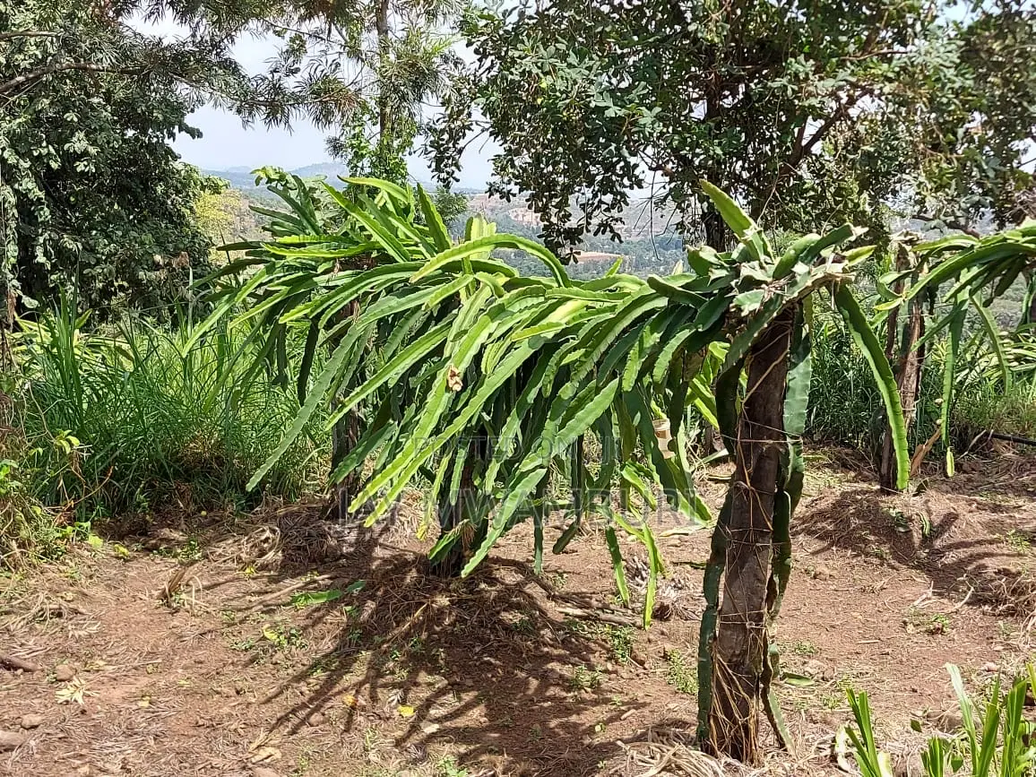 110 Acres Ready Farm Emali