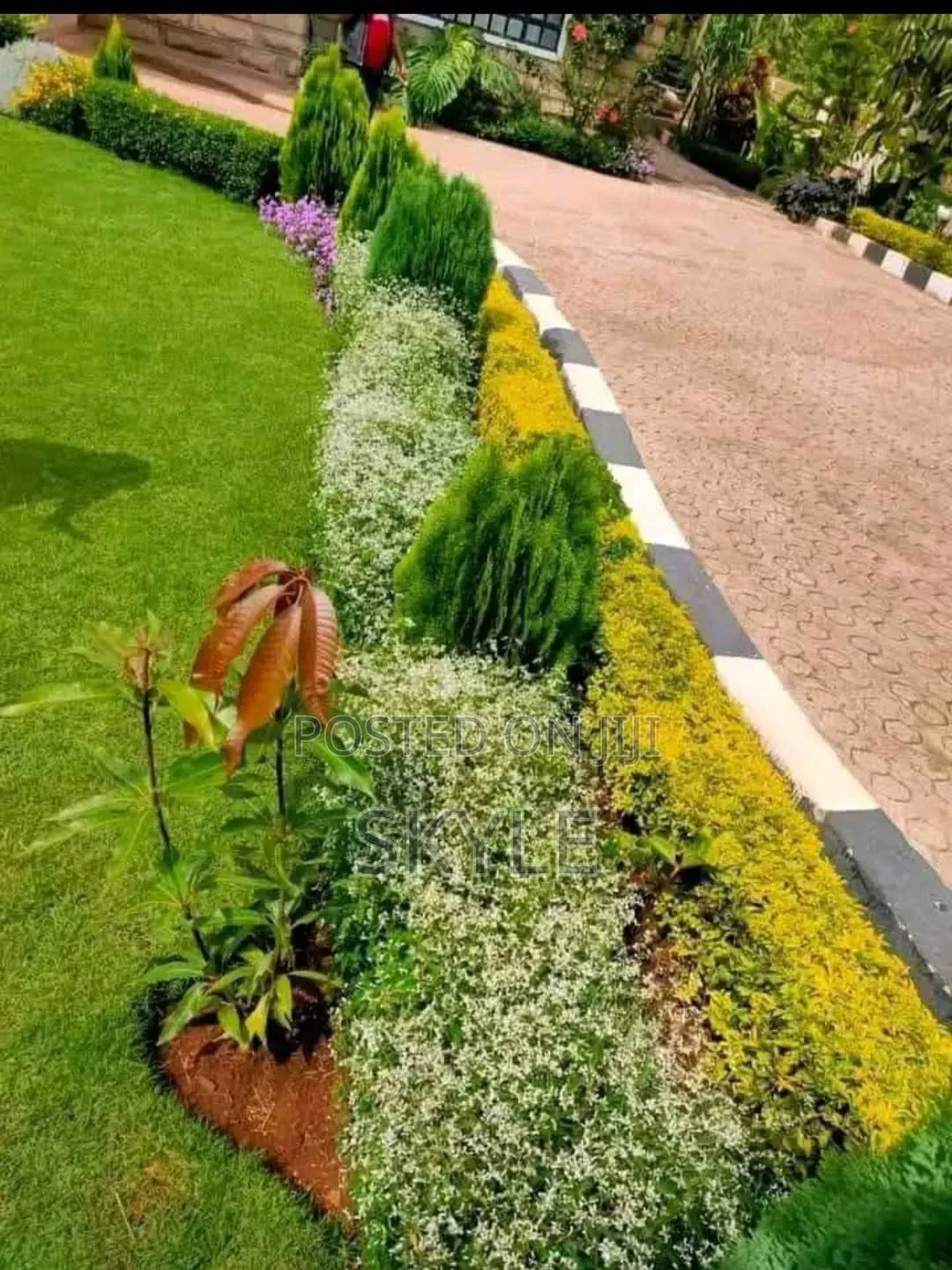 Land Scapping