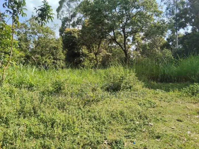 1/2acre Land/Plots for Sale in Kakamega
