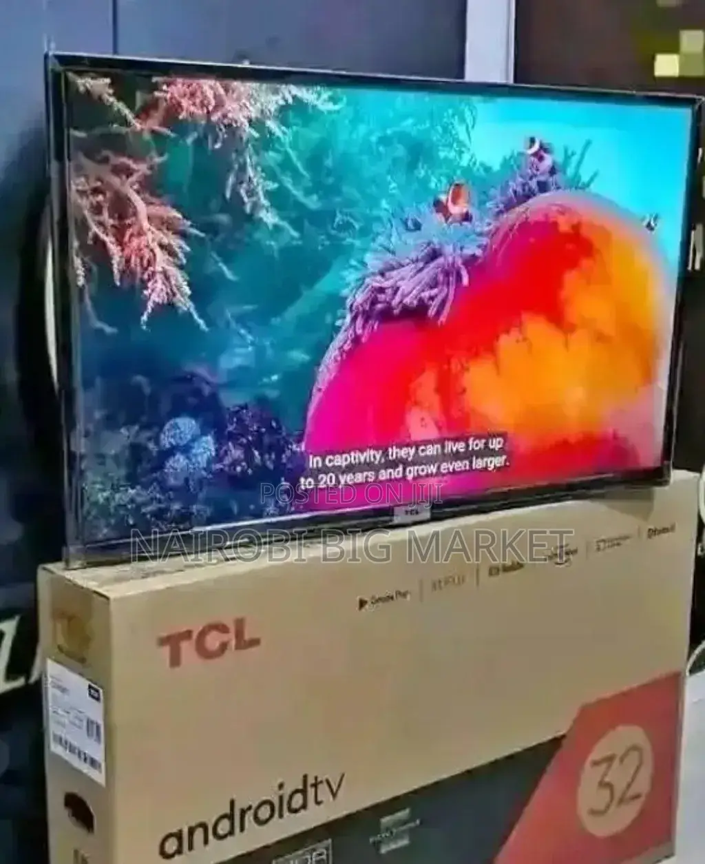New Model TCL 32 Inch Android TV