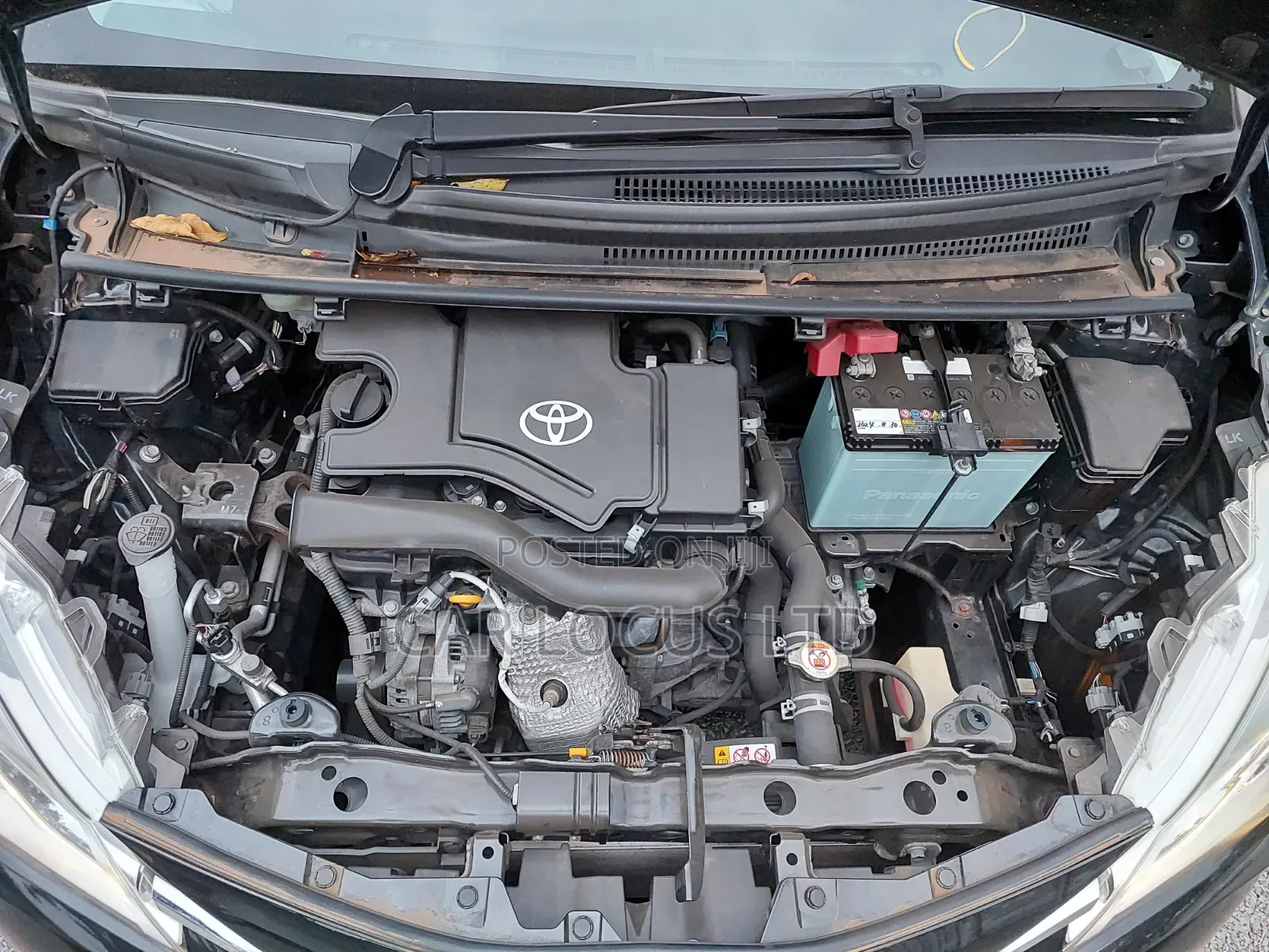 Toyota Vitz 2019 Matt Black