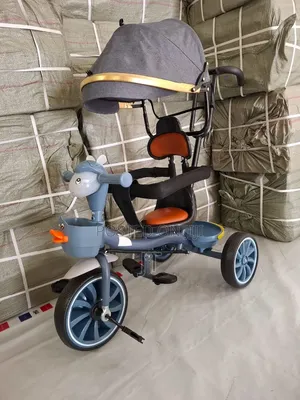 Musical Tricycle With Canopy