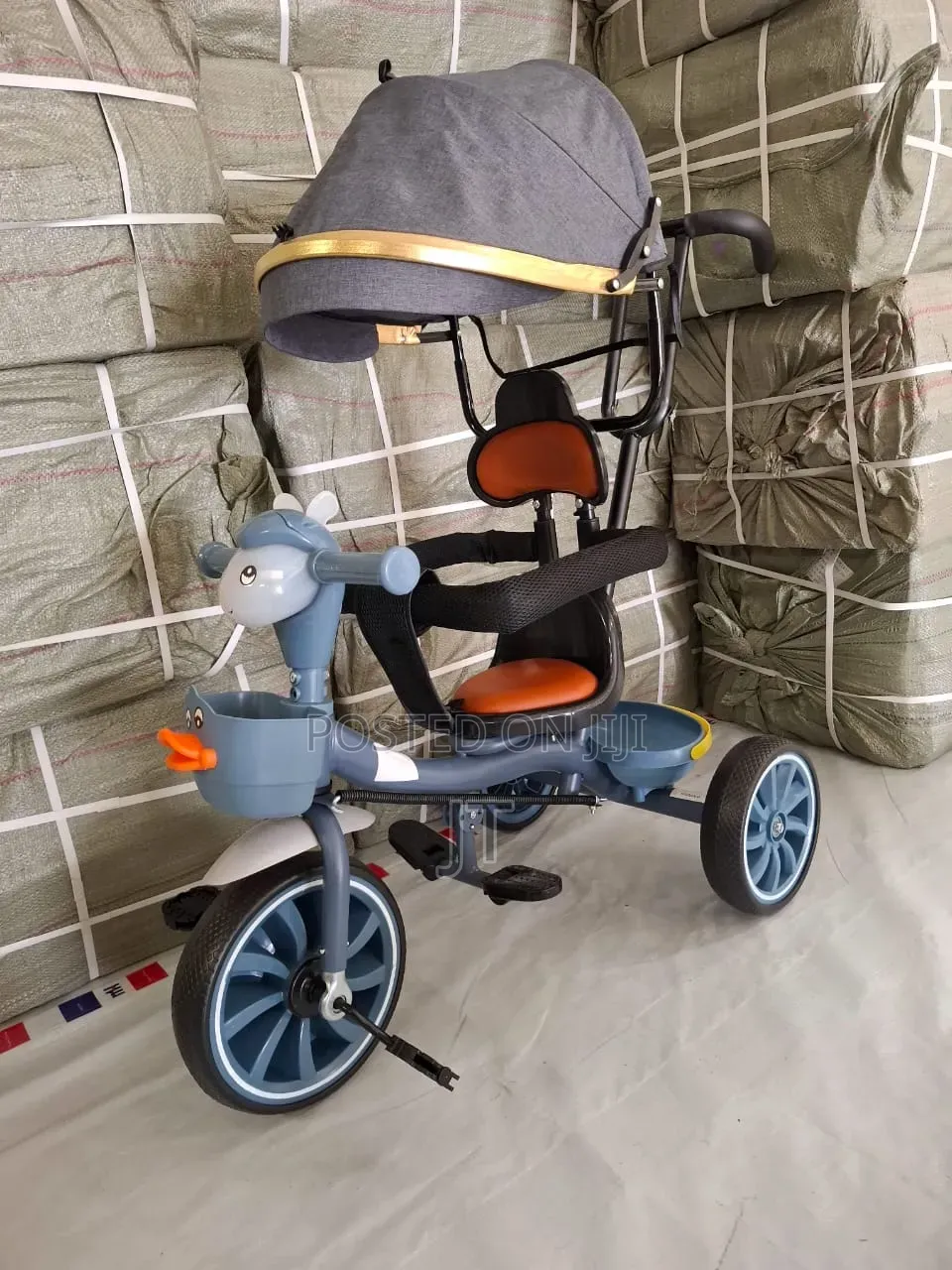 Musical Tricycle With Canopy