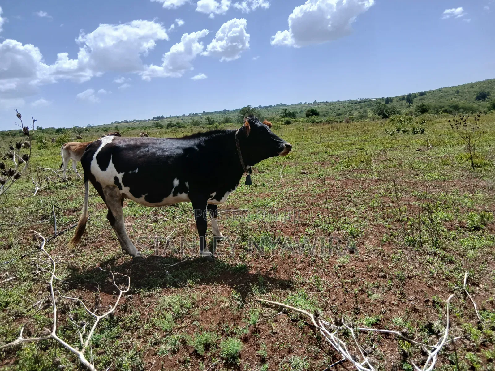 83 Acrea 6km From Nyeri Nyahuru Fronting River