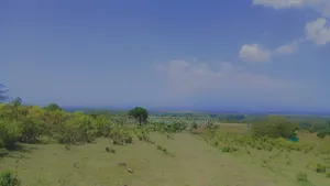 83 Acrea 6km From Nyeri Nyahuru Fronting River