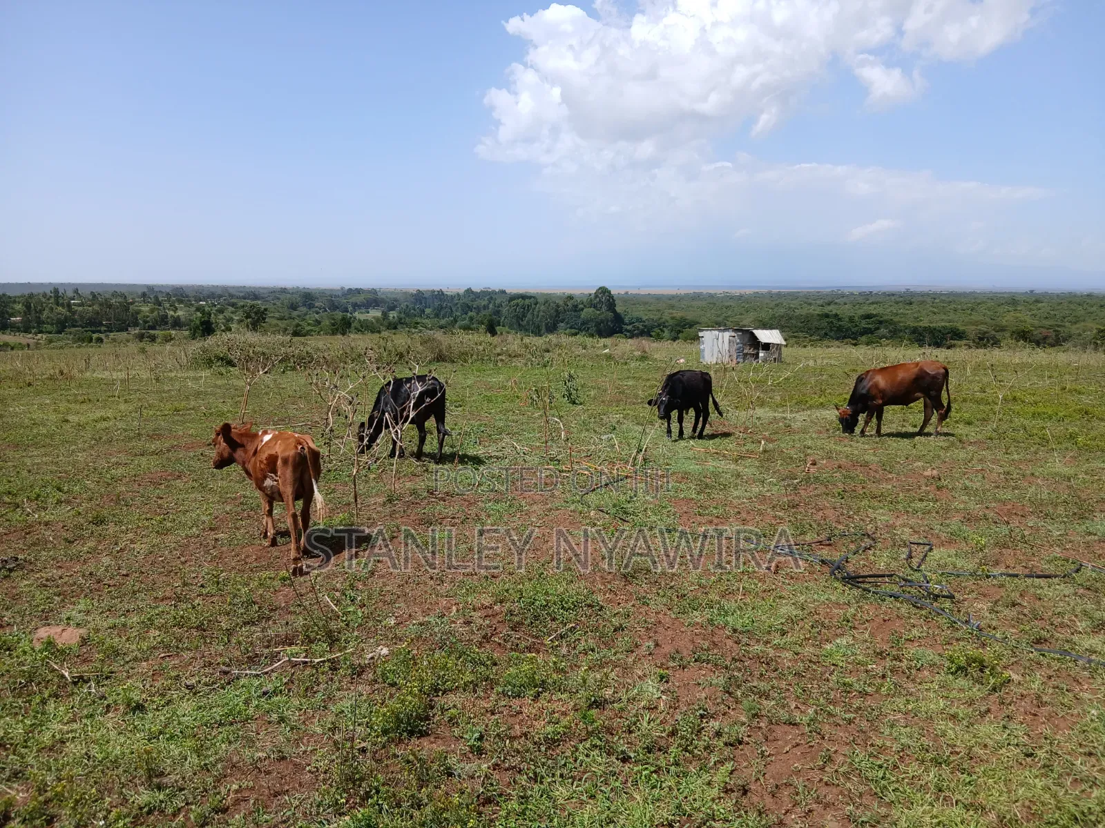 83 Acrea 6km From Nyeri Nyahuru Fronting River
