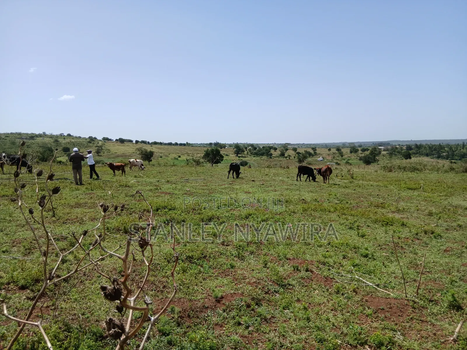 83 Acrea 6km From Nyeri Nyahuru Fronting River