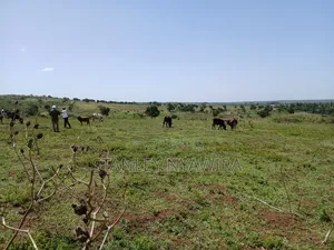 83 Acrea 6km From Nyeri Nyahuru Fronting River