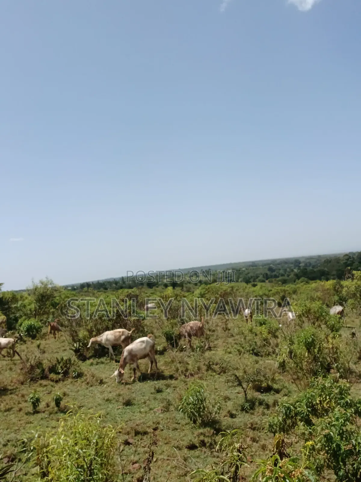 83 Acrea 6km From Nyeri Nyahuru Fronting River