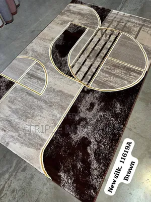 Modern Home 6 by 9 Silk Carpet
