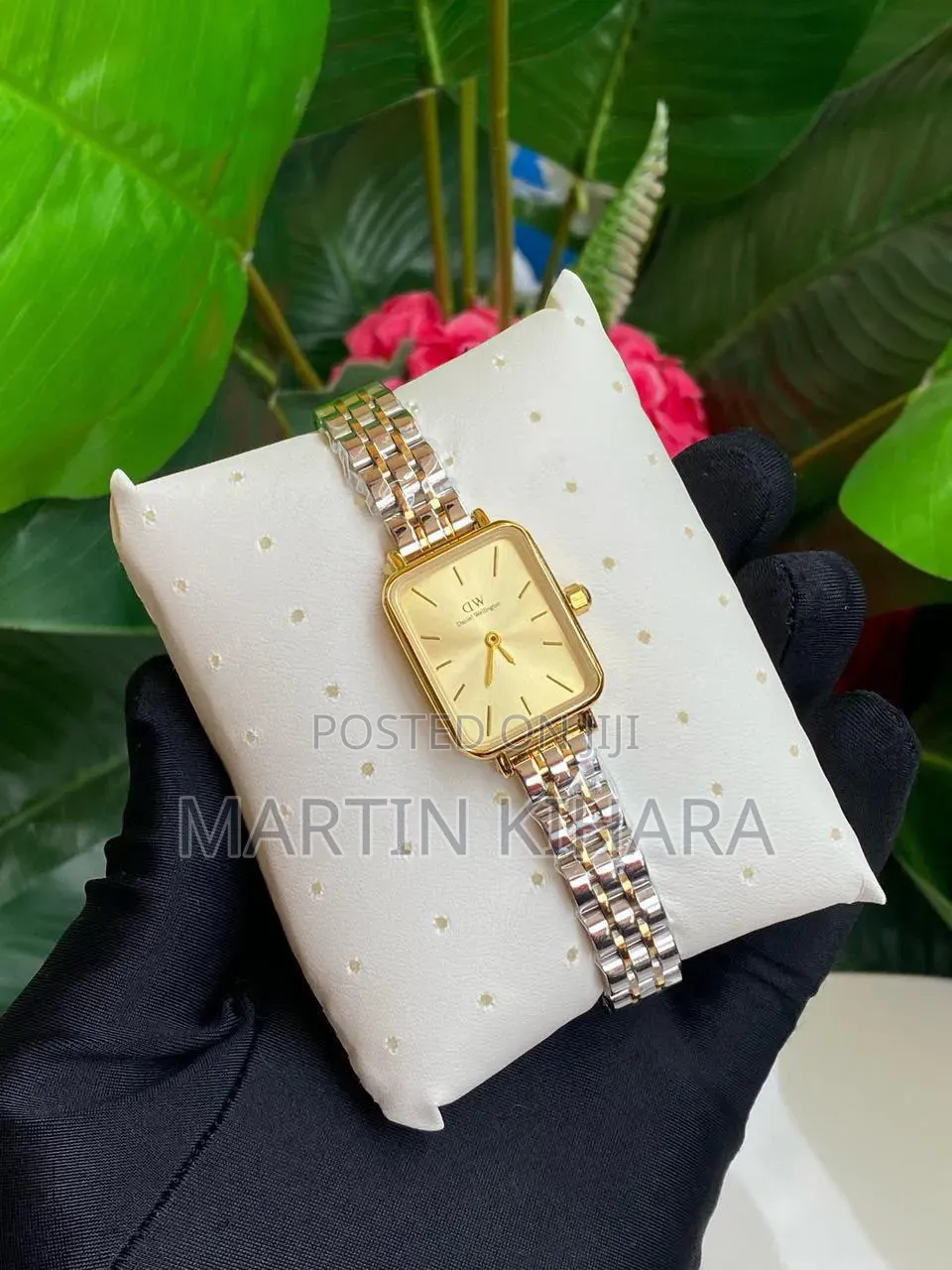 Daniel Wellington (Dw) Ladies Watch